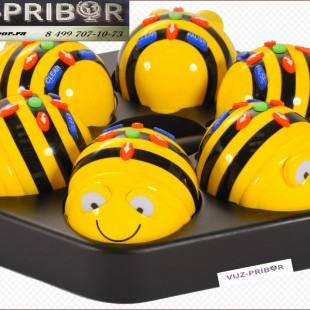 Набор программируемых мини-роботов Bee-Bot (6 шт.)