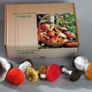 Набор муляжей грибов съедобных и ядовитых