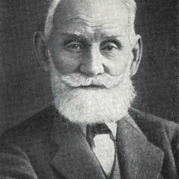 Павлов е п. Павлов и.п. (1849-1936). Ивана Петровича Павлова(1849 – 1936).